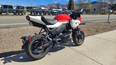 2024 CFMOTO Papio SS in Fairview, Utah - Photo 8