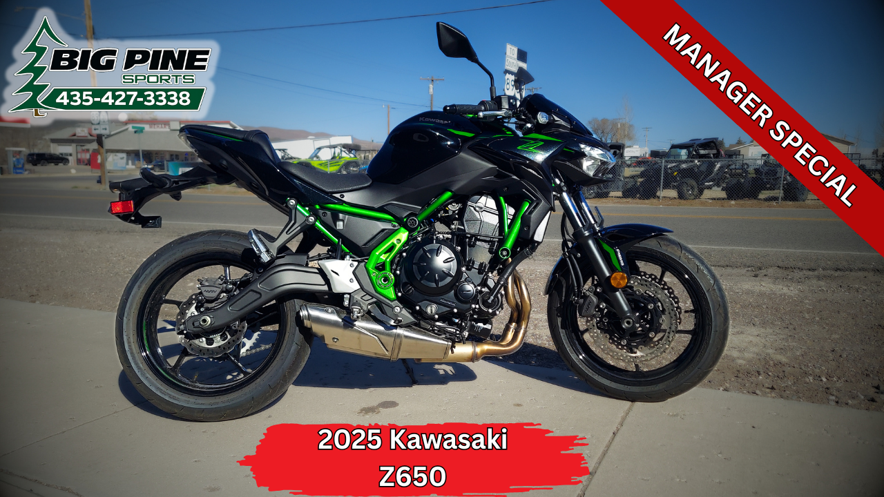 2025 Kawasaki Z650 ABS in Fairview, Utah - Photo 1