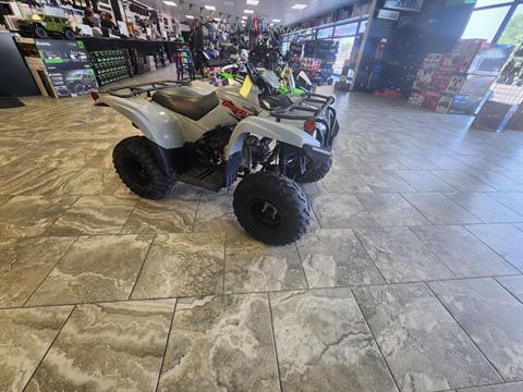 2021 Yamaha Grizzly 90 in Fairview, Utah - Photo 1