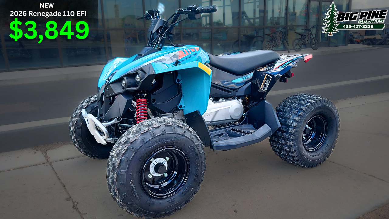 2026 Can-Am Renegade 110 EFI in Fairview, Utah - Photo 1