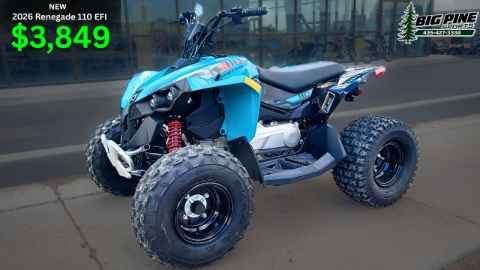 2026 Can-Am Renegade 110 EFI in Fairview, Utah - Photo 1
