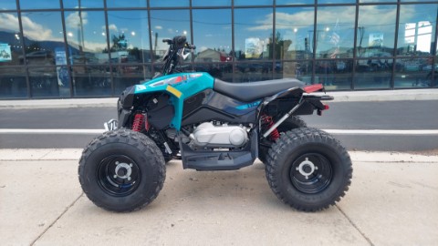 2026 Can-Am Renegade 110 EFI in Fairview, Utah - Photo 2