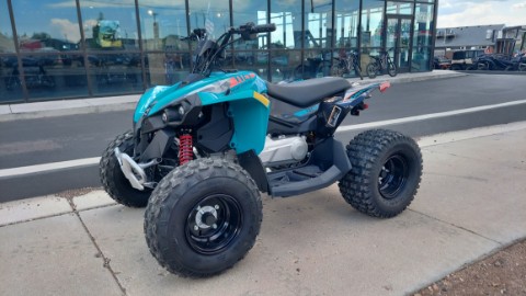 2026 Can-Am Renegade 110 EFI in Fairview, Utah - Photo 3