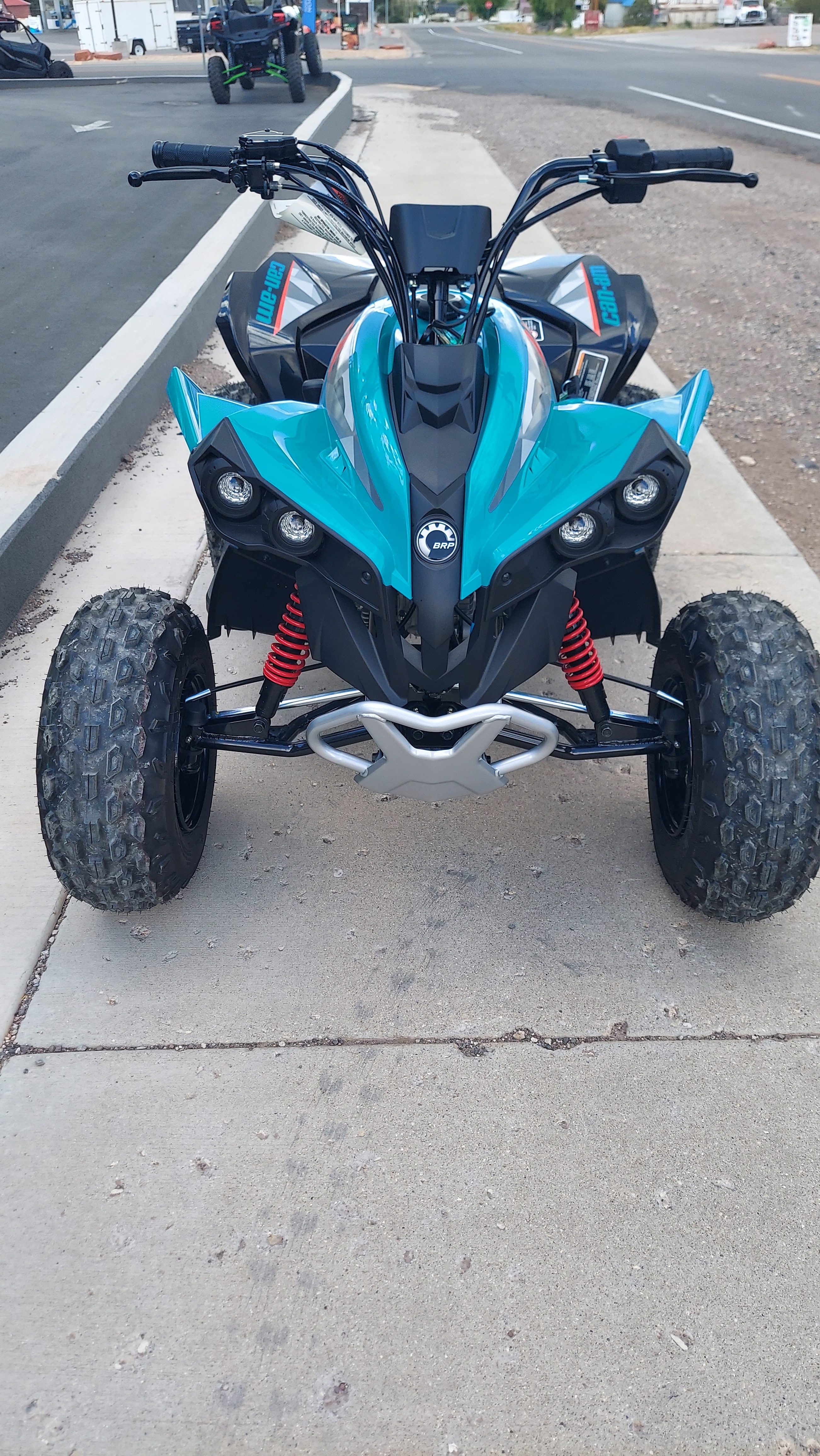 2026 Can-Am Renegade 110 EFI in Fairview, Utah - Photo 5