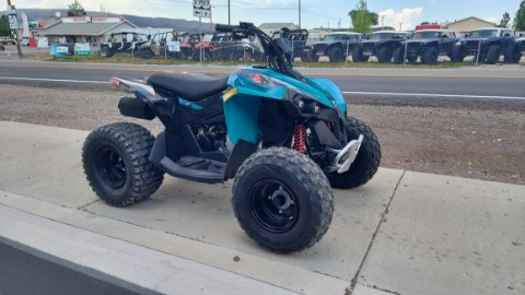 2026 Can-Am Renegade 110 EFI in Fairview, Utah - Photo 7