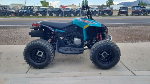2026 Can-Am Renegade 110 EFI in Fairview, Utah - Photo 8