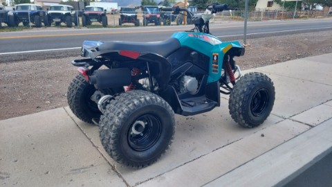 2026 Can-Am Renegade 110 EFI in Fairview, Utah - Photo 9