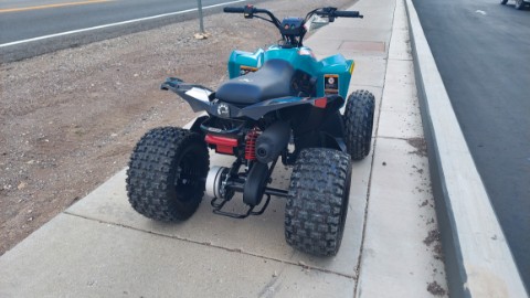 2026 Can-Am Renegade 110 EFI in Fairview, Utah - Photo 10