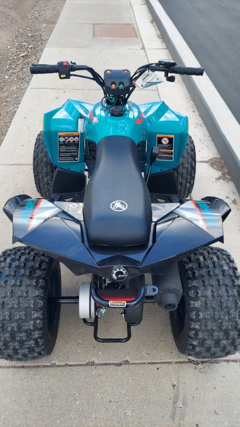 2026 Can-Am Renegade 110 EFI in Fairview, Utah - Photo 13
