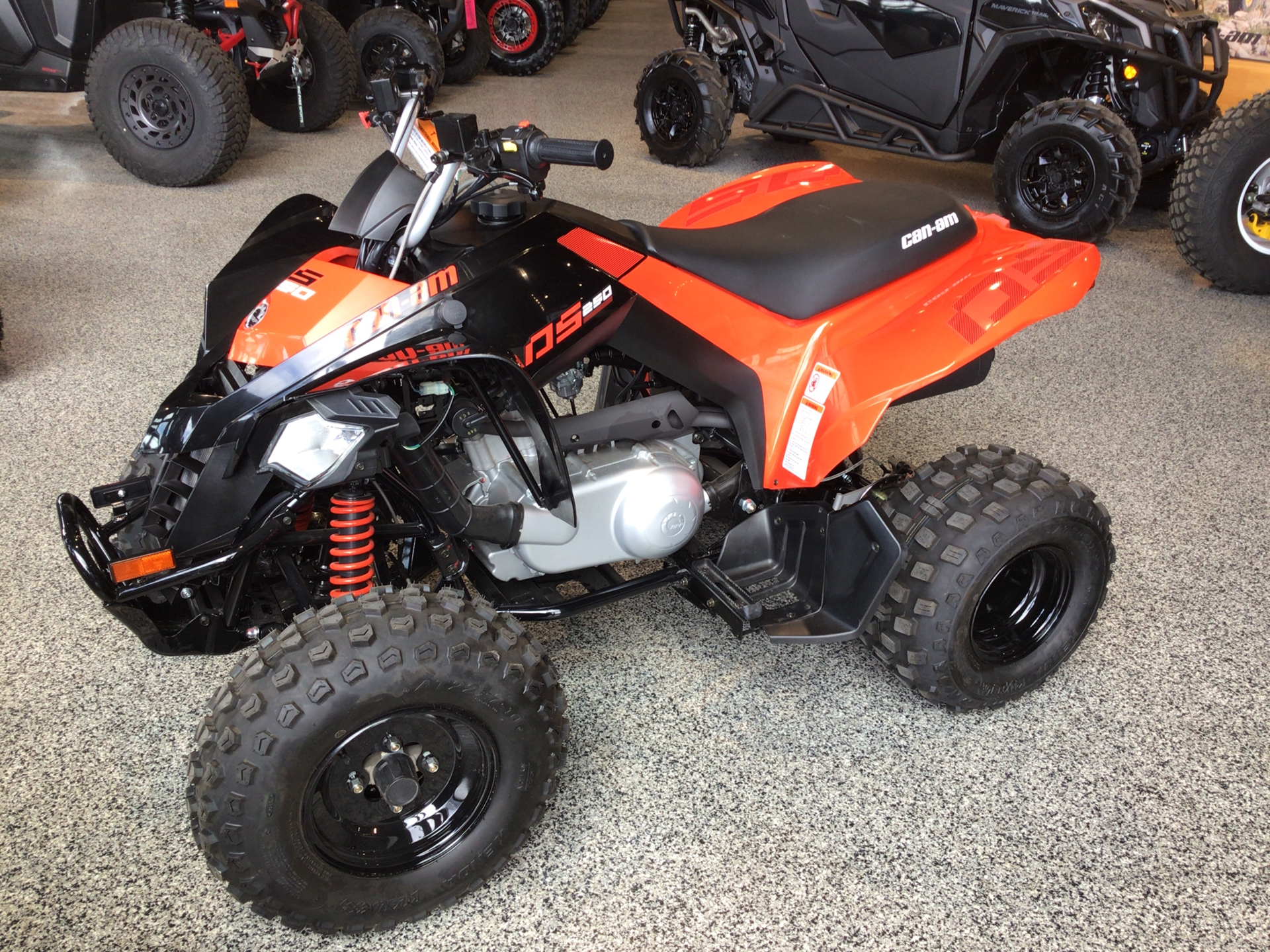 2025 Can-Am DS 250 in Fairview, Utah - Photo 3
