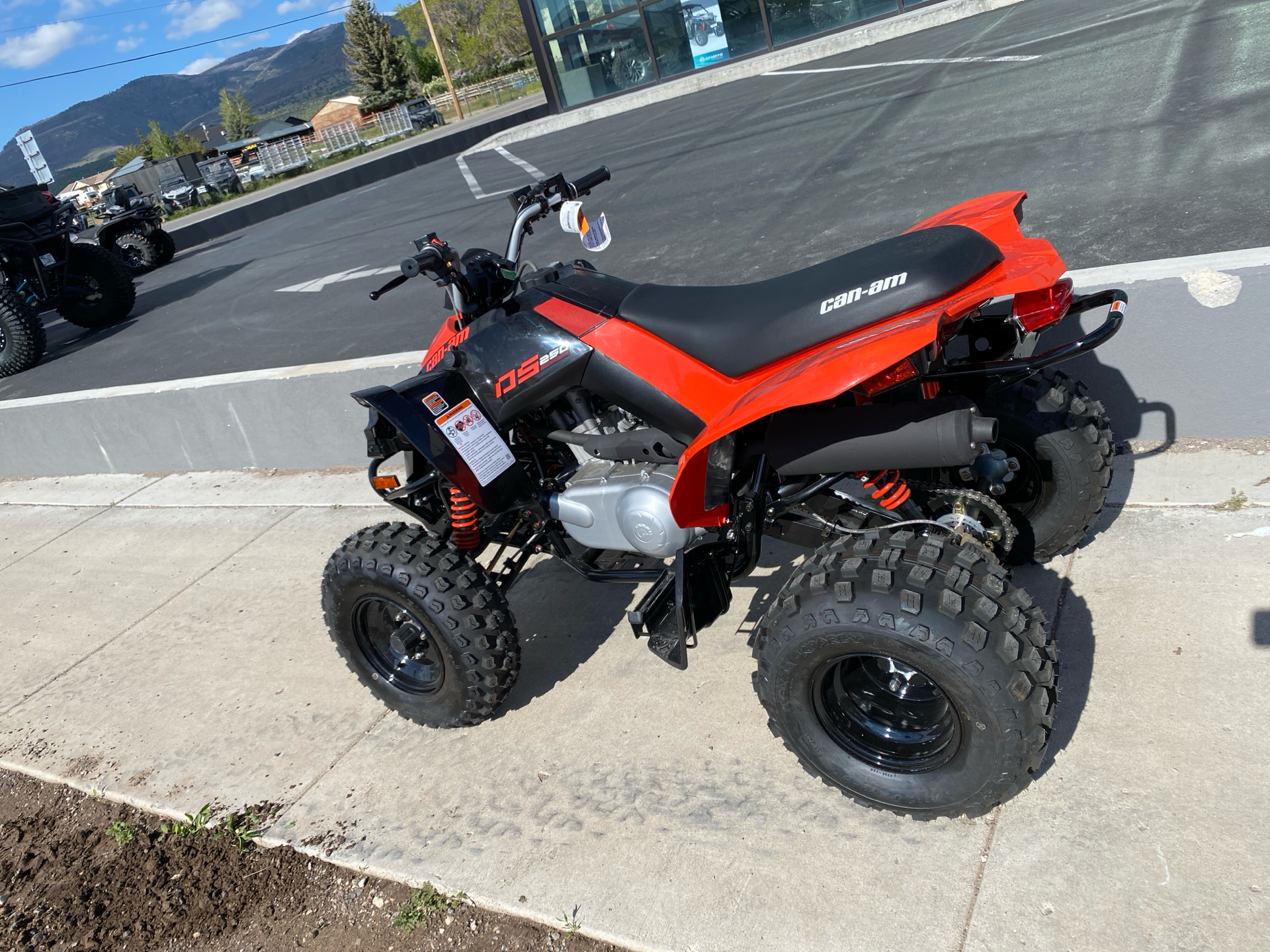 2025 Can-Am DS 250 in Fairview, Utah - Photo 2