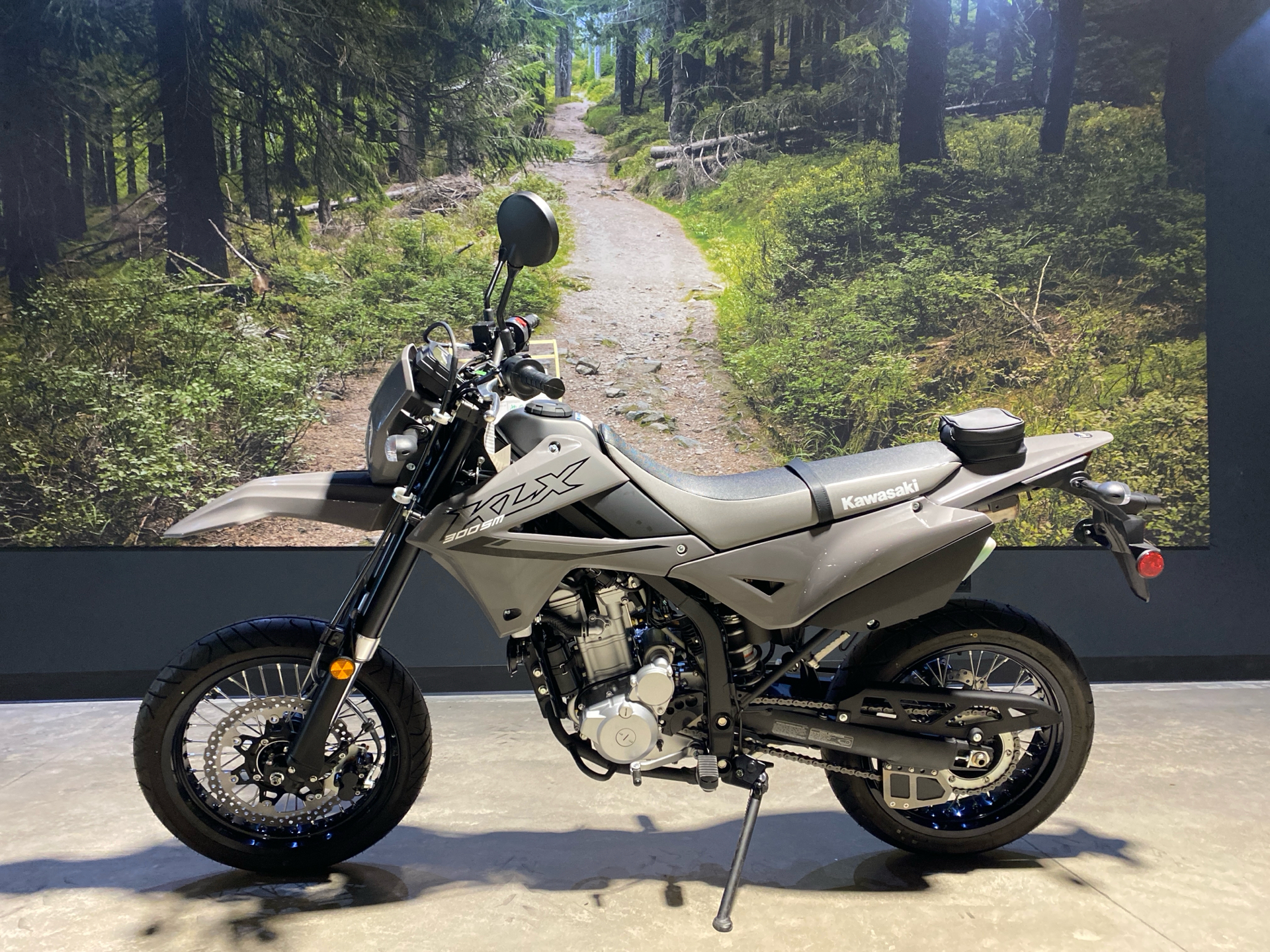 2025 Kawasaki KLX 300SM in Fairview, Utah - Photo 1