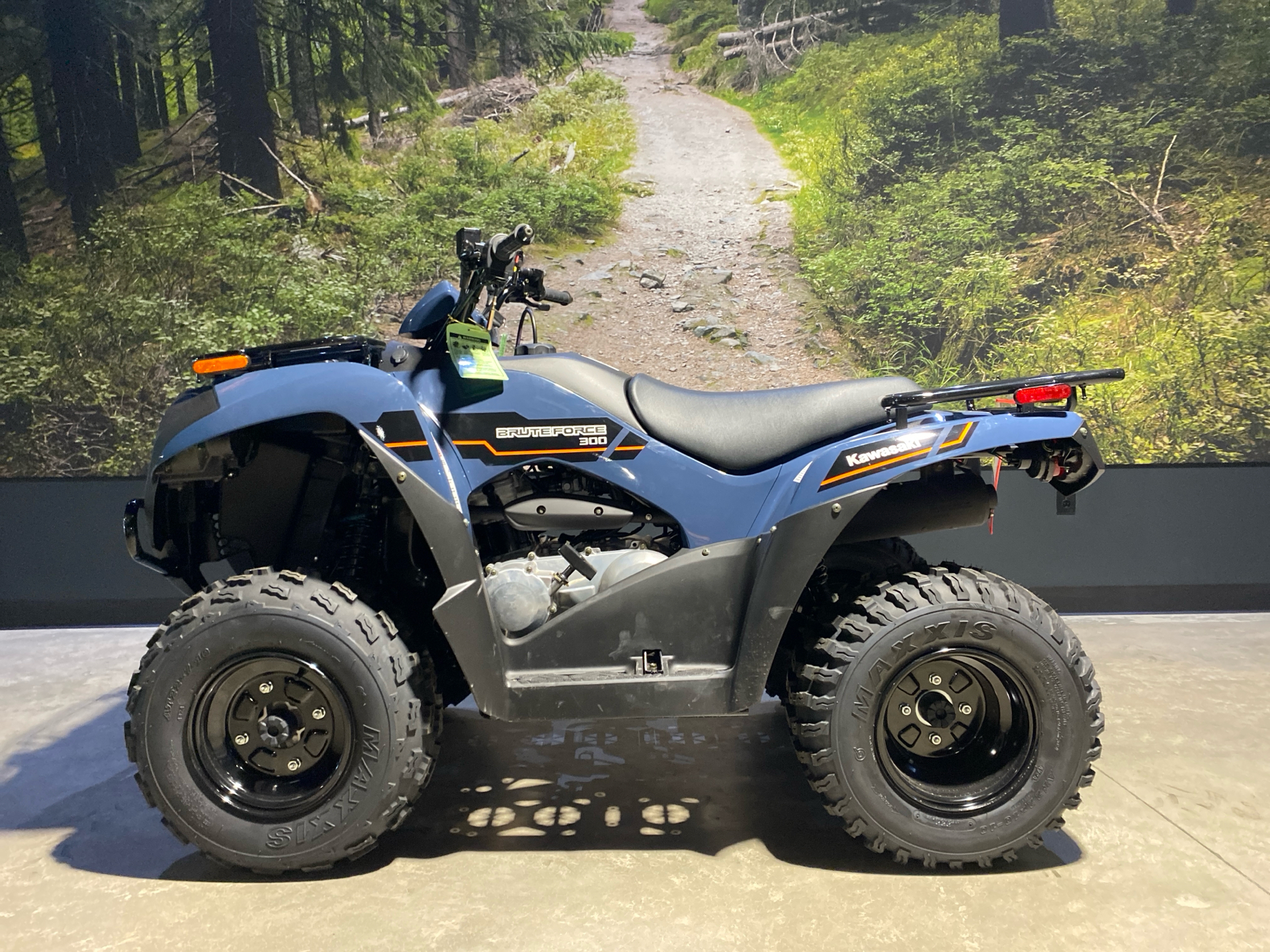 2025 Kawasaki Brute Force 300 in Fairview, Utah - Photo 1