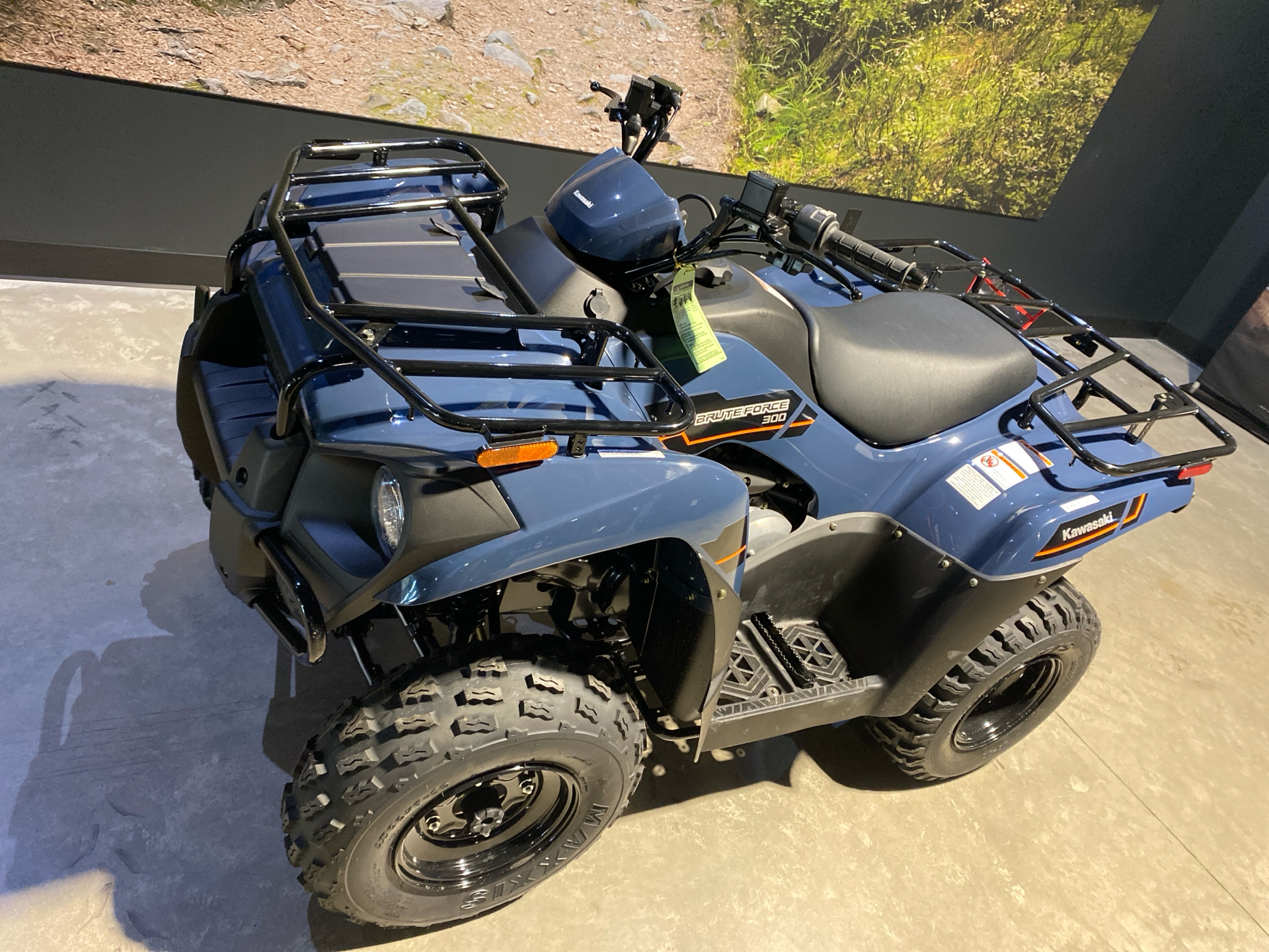 2025 Kawasaki Brute Force 300 in Fairview, Utah - Photo 2