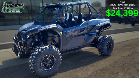 2026 Kawasaki Teryx KRX® 1000 Blackout Edition in Fairview, Utah - Photo 1