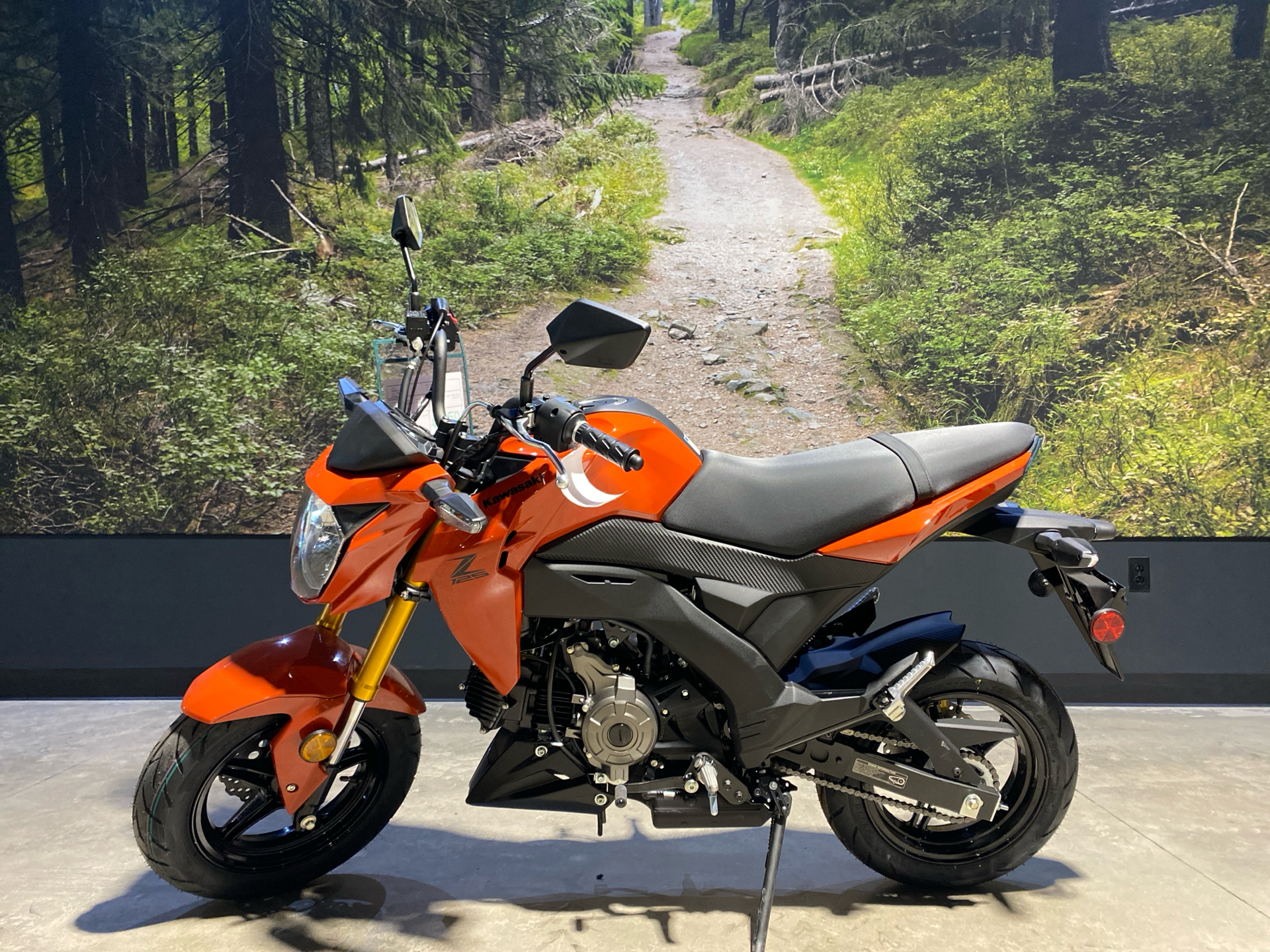 2025 Kawasaki Z125 Pro in Fairview, Utah - Photo 1