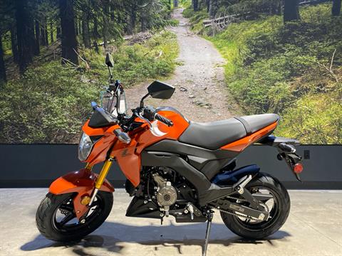 2025 Kawasaki Z125 Pro in Fairview, Utah - Photo 1