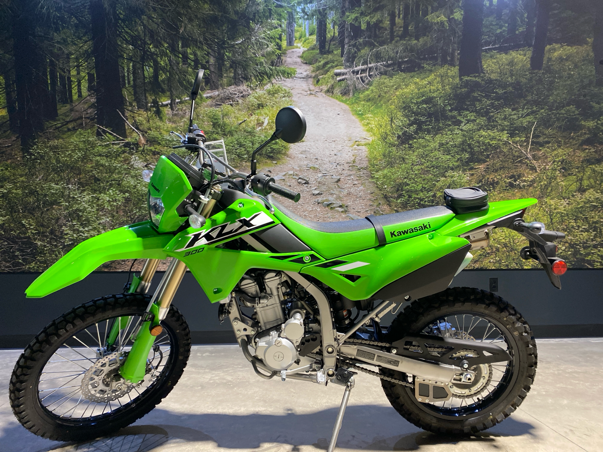 2025 Kawasaki KLX 300 in Fairview, Utah - Photo 1