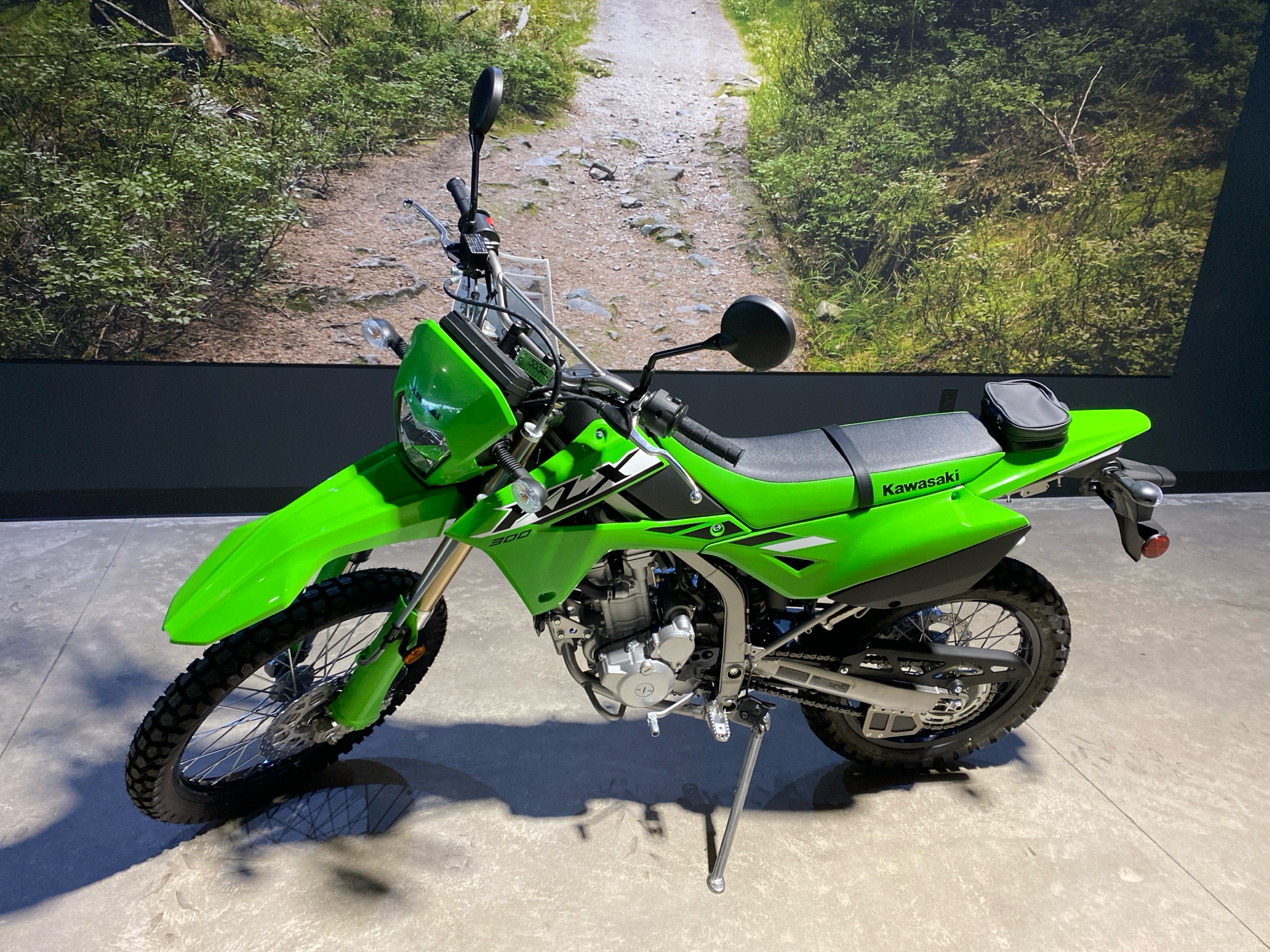 2025 Kawasaki KLX 300 in Fairview, Utah - Photo 2