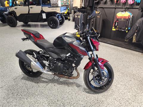 Used 2019 Kawasaki Z400 ABS Motorcycles in Fairview, UT