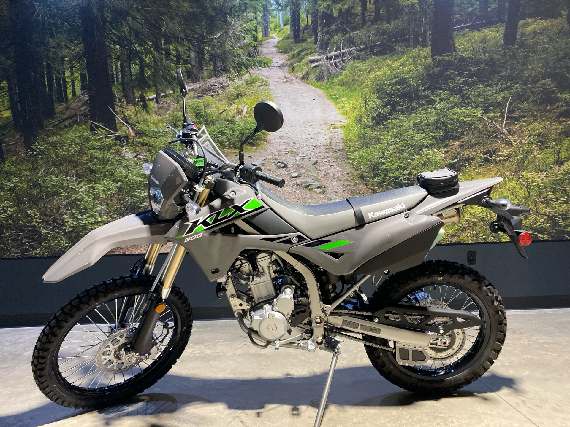 2025 Kawasaki KLX 300 in Fairview, Utah - Photo 1