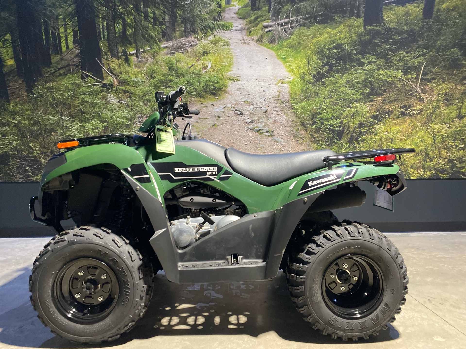 2025 Kawasaki Brute Force 300 in Fairview, Utah - Photo 1