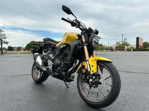 New 2024 Honda CB300R ABS Motorcycles in Crystal Lake, IL | Stock