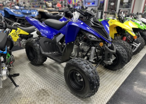 2026 Yamaha Raptor 110 — photo 1 of 1