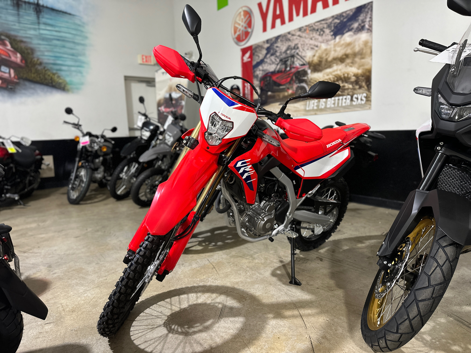 2025 Honda CRF300L ABS, Houma LA | New Motorcycles for Sale: Specs