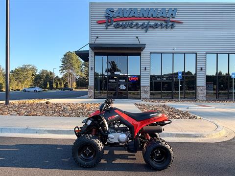 2027 Can-Am DS 250