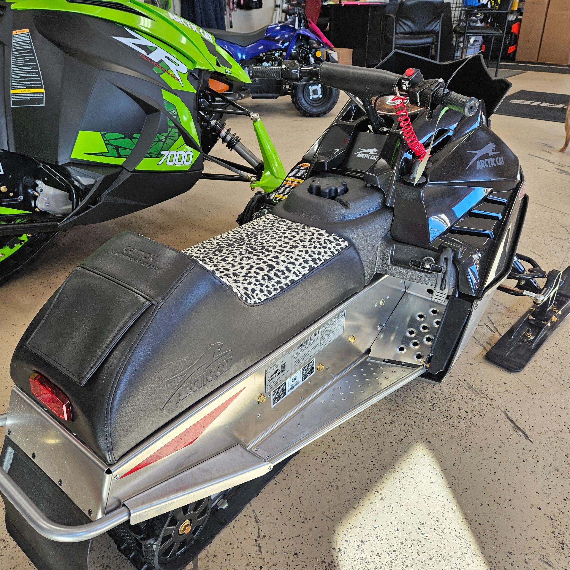 New 2026 Arctic Cat Kitty Cat Snowmobiles in Greenland, MI
