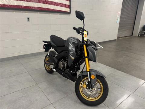 New 2024 Kawasaki Z125 Pro, Williamson NY | Specs, Price, Photos