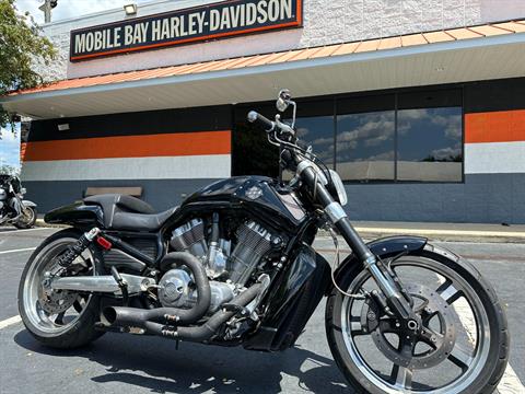 HOT Davidson V Rod Custom Motorcycles For Sale Usa Used