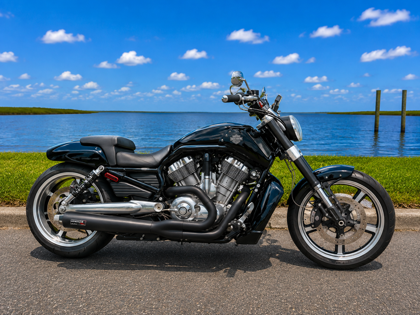2013 V-Rod Muscle®