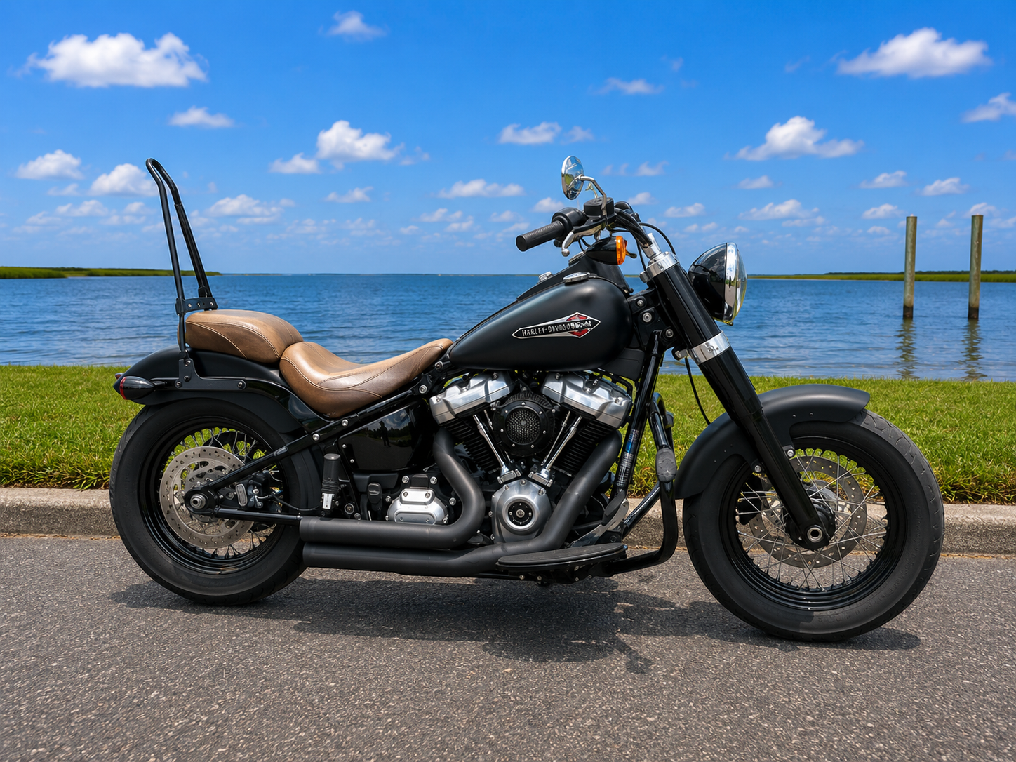 2020 Softail Slim®