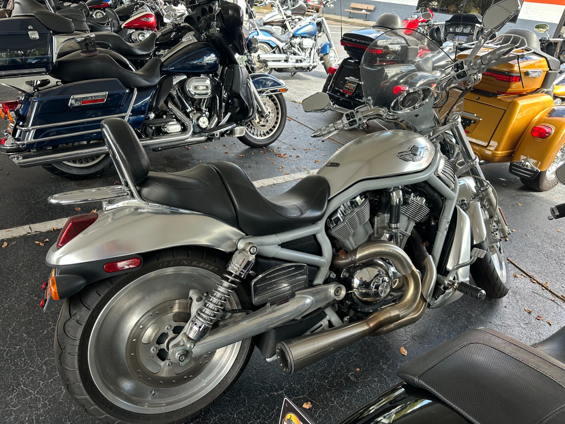 Used 2003 Harley-Davidson VRSCA V-Rod® Anodized Aluminum