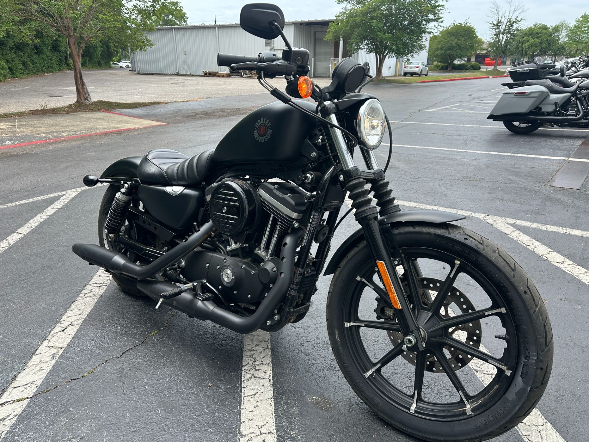 2021 Harley-Davidson Iron 883