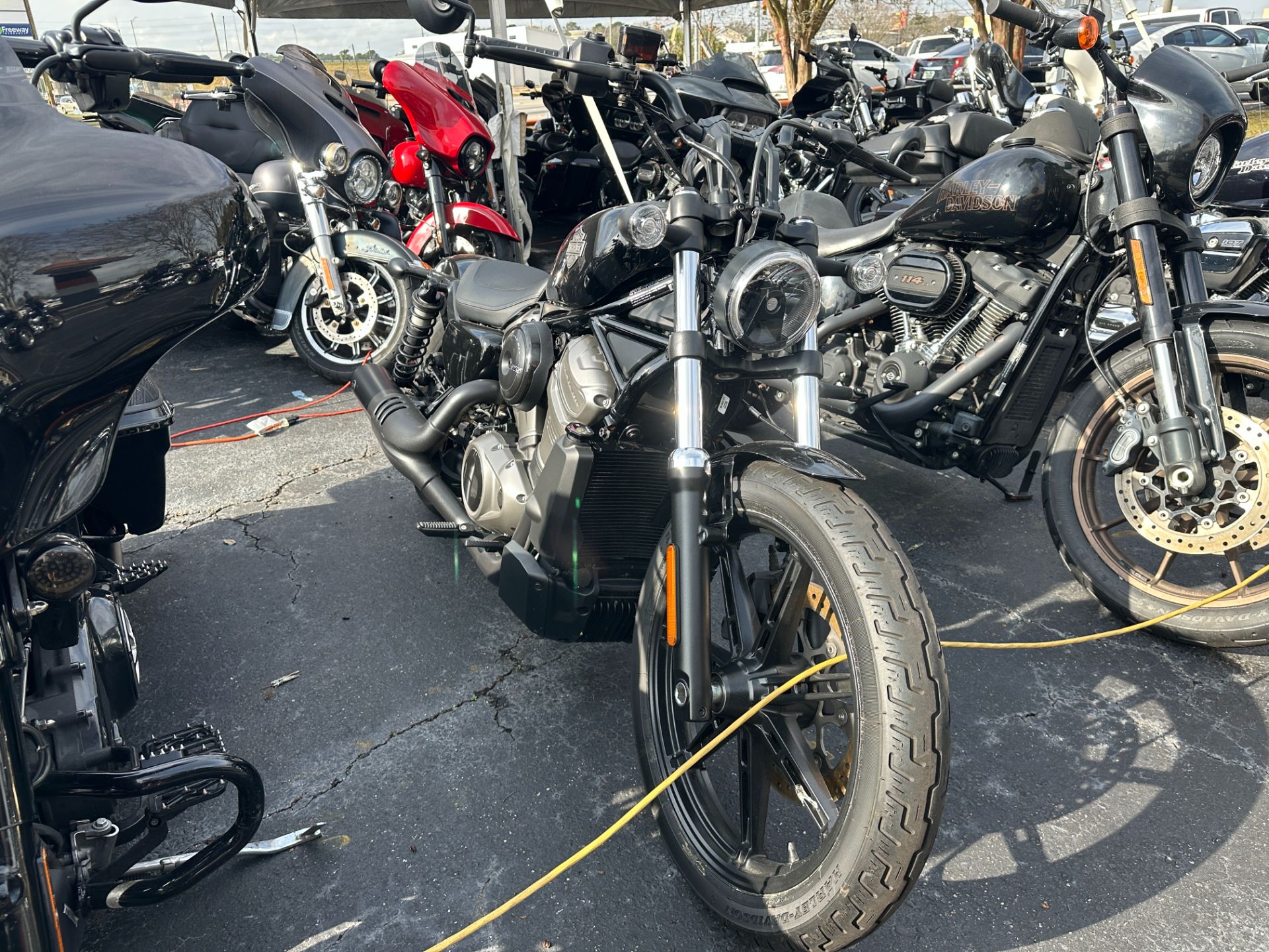 2024 Harley-Davidson Nightster