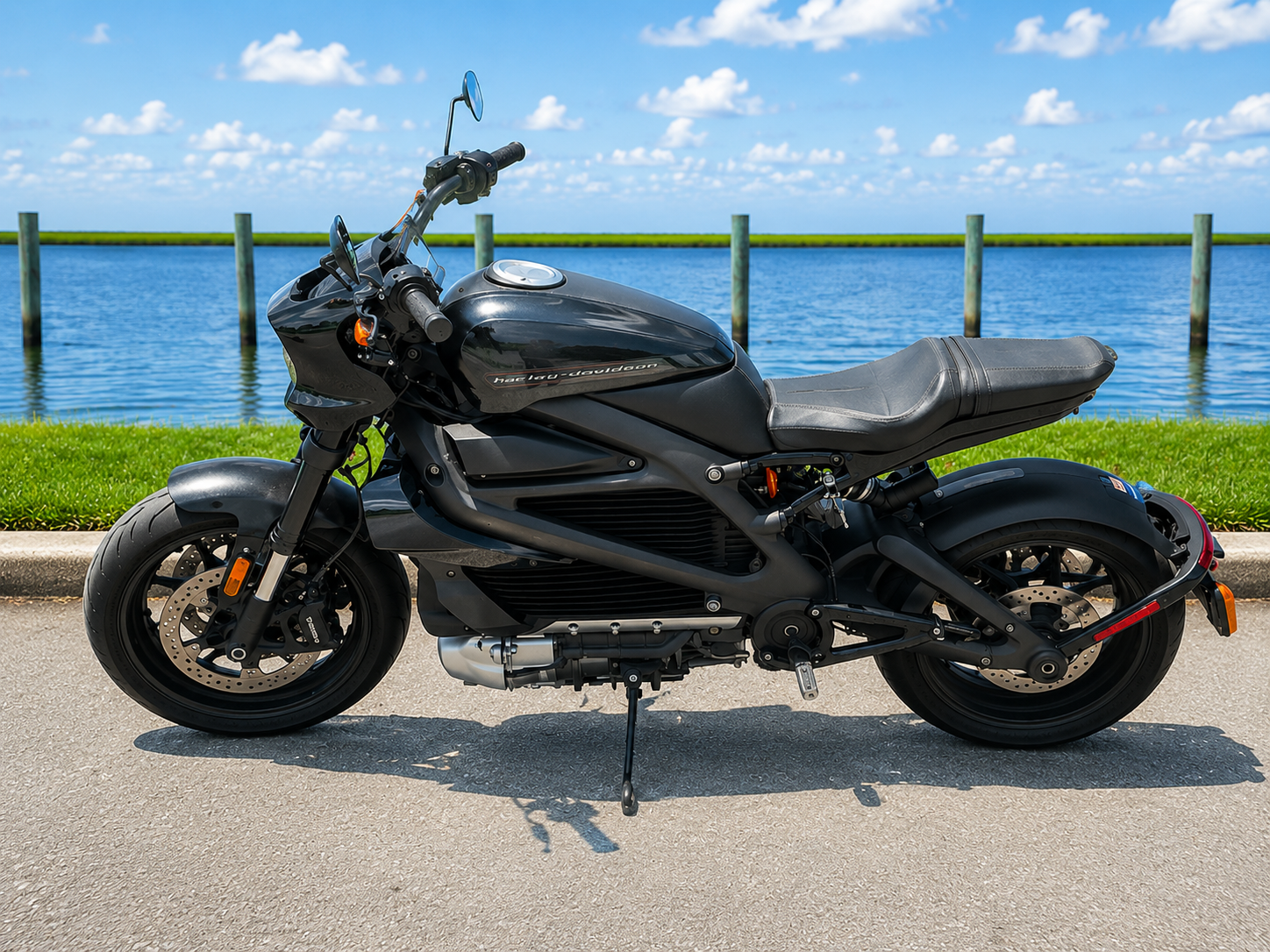 Used 2020 Harley-Davidson Livewire™ Vivid Black | Motorcycles in