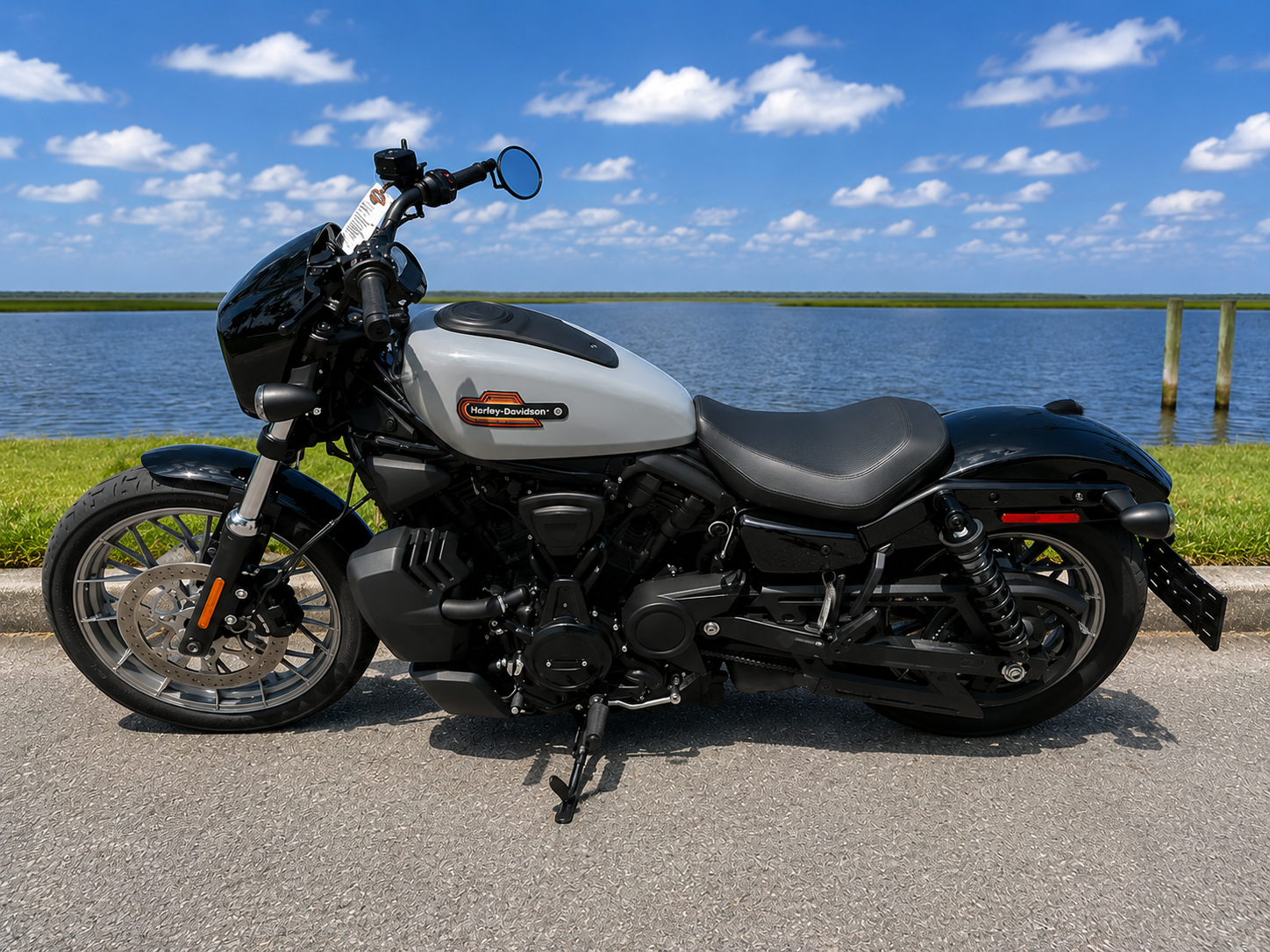 2025 Harley-Davidson Nightster® Special 2