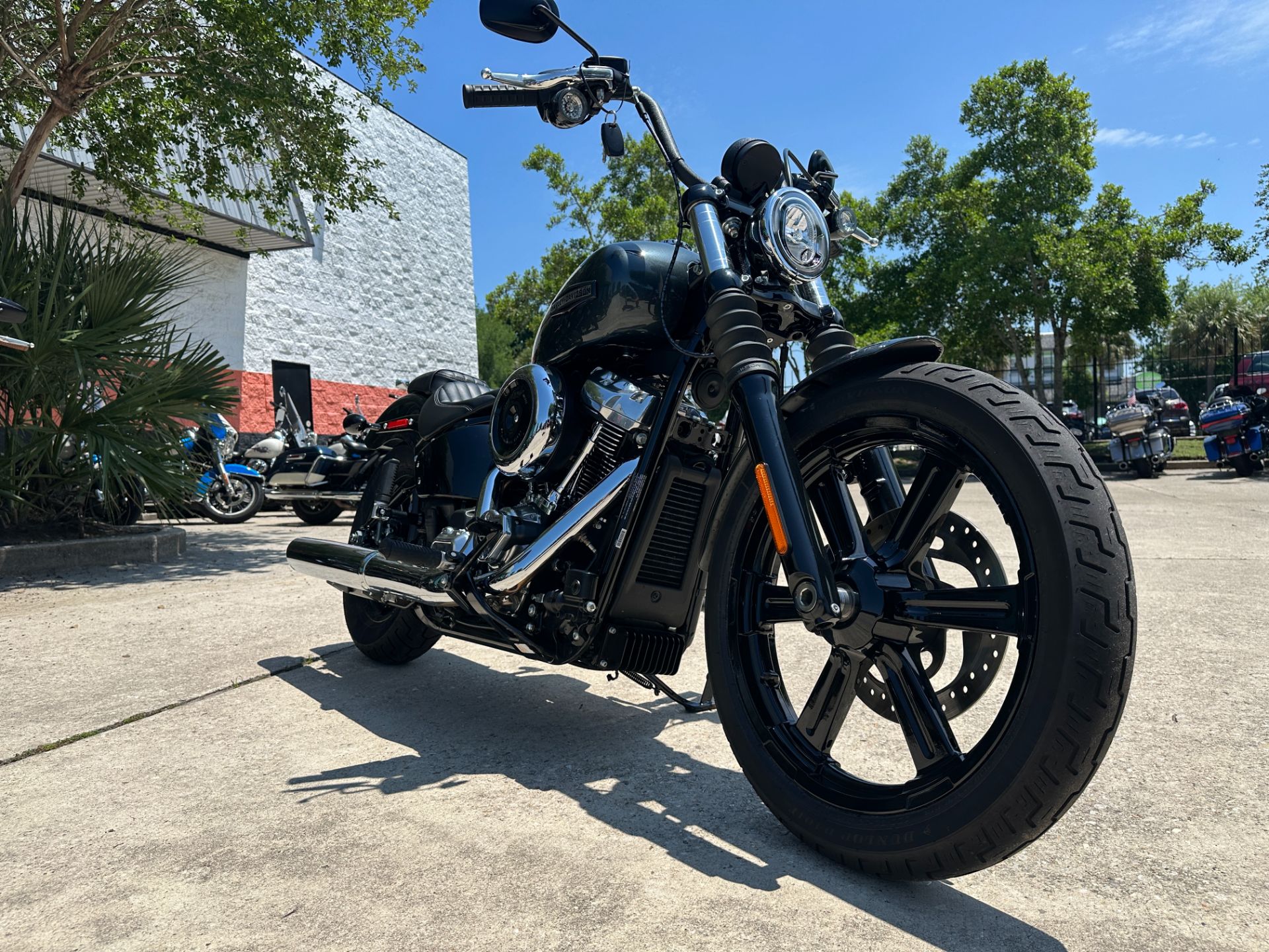 2025 Harley-Davidson Street Bob