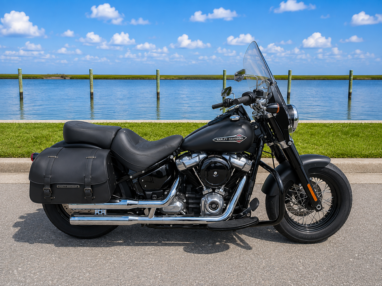2019 Harley-Davidson Softail Slim® for sale 1177259