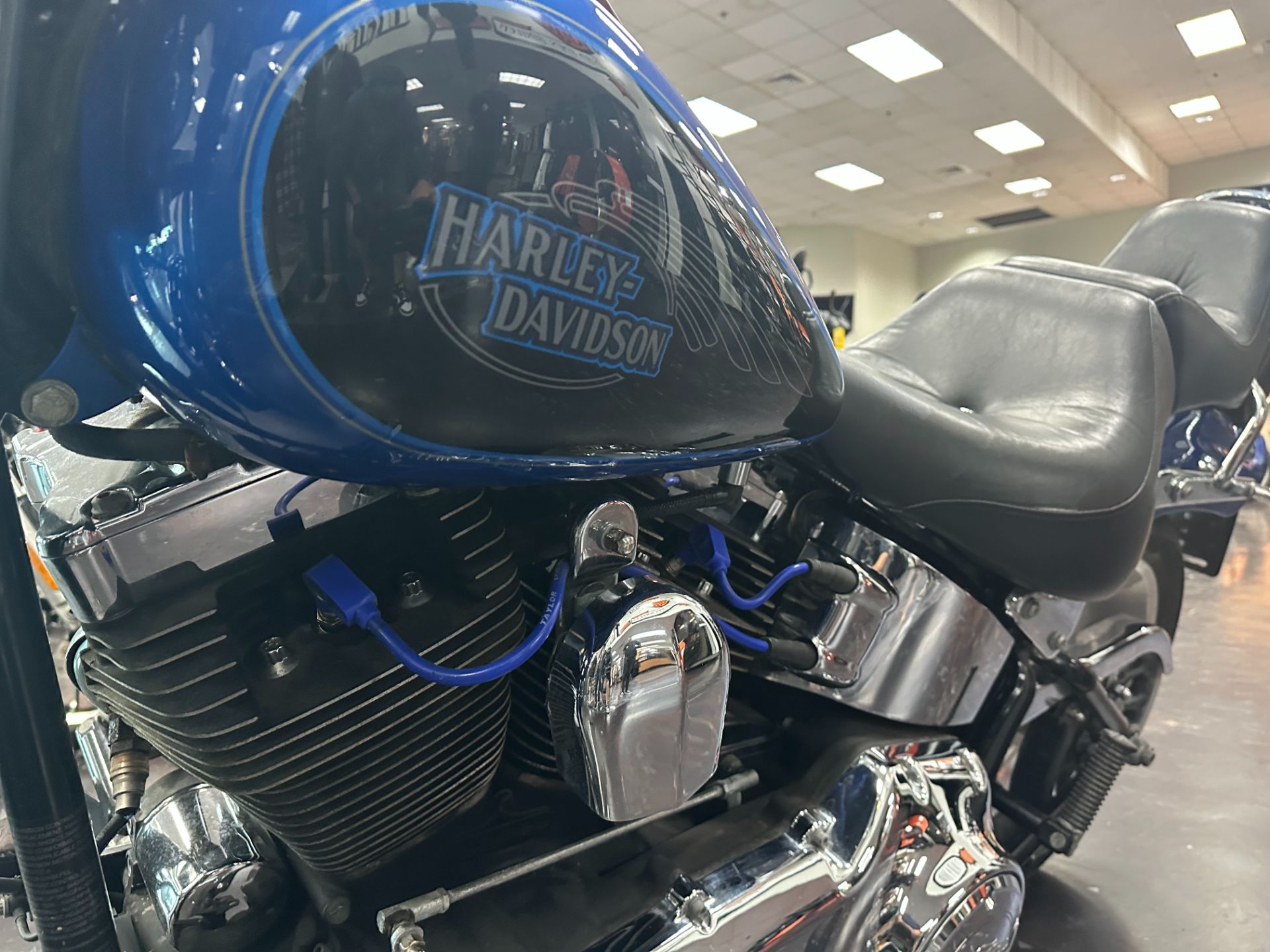 Used 2008 Harley-Davidson FXSTC Softail® Custom Two-Tone