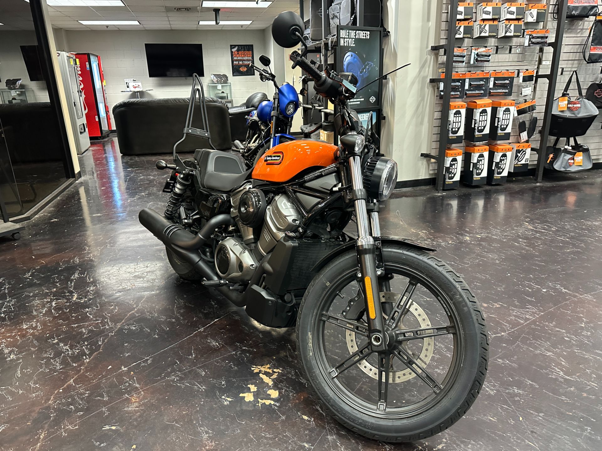 2024 Harley-Davidson Nightster Special