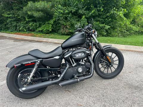 Used 2009 Harley-Davidson Sportster® Iron 883™ Black Denim