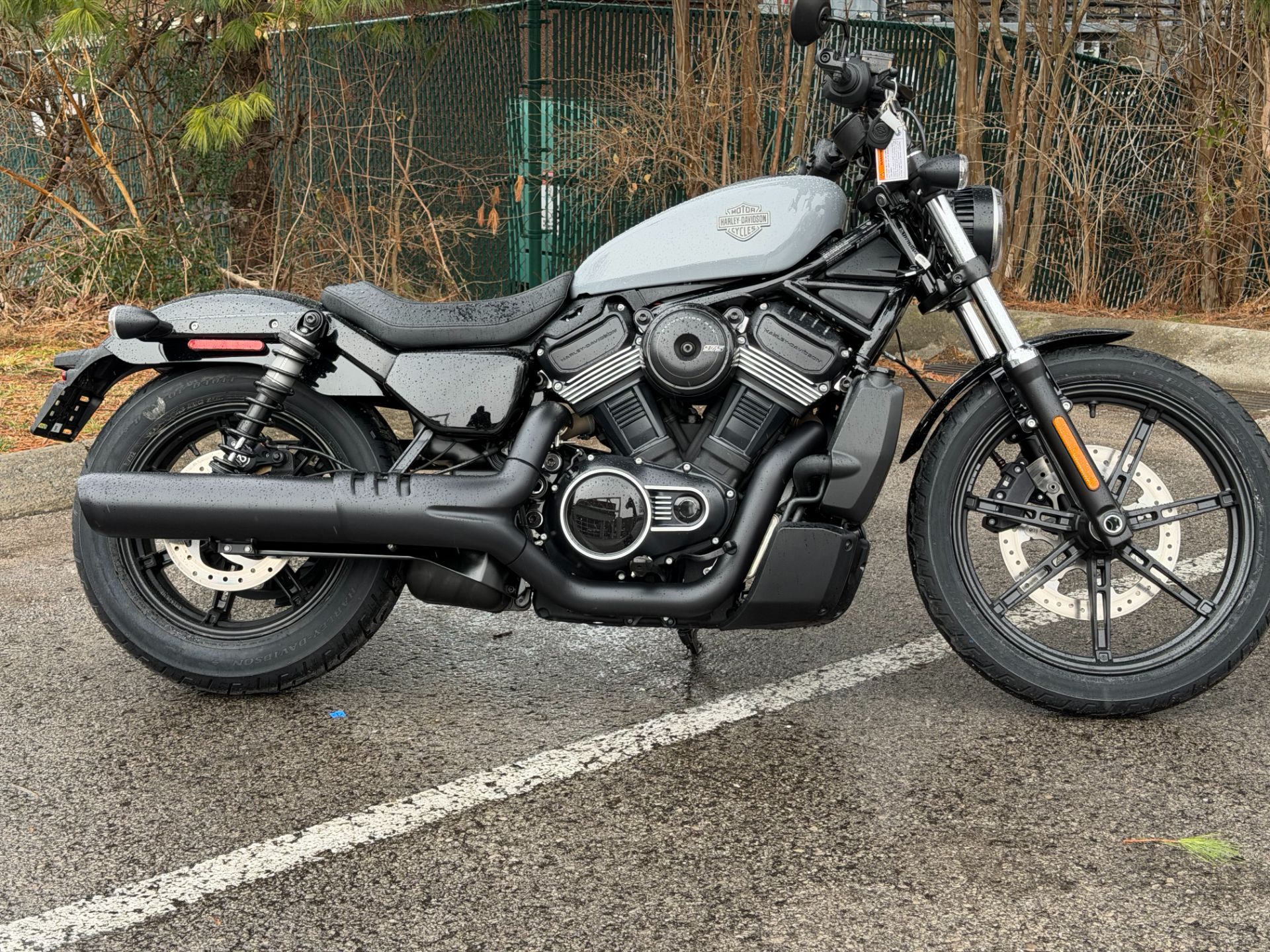 2025 Harley-Davidson Nightster® Special