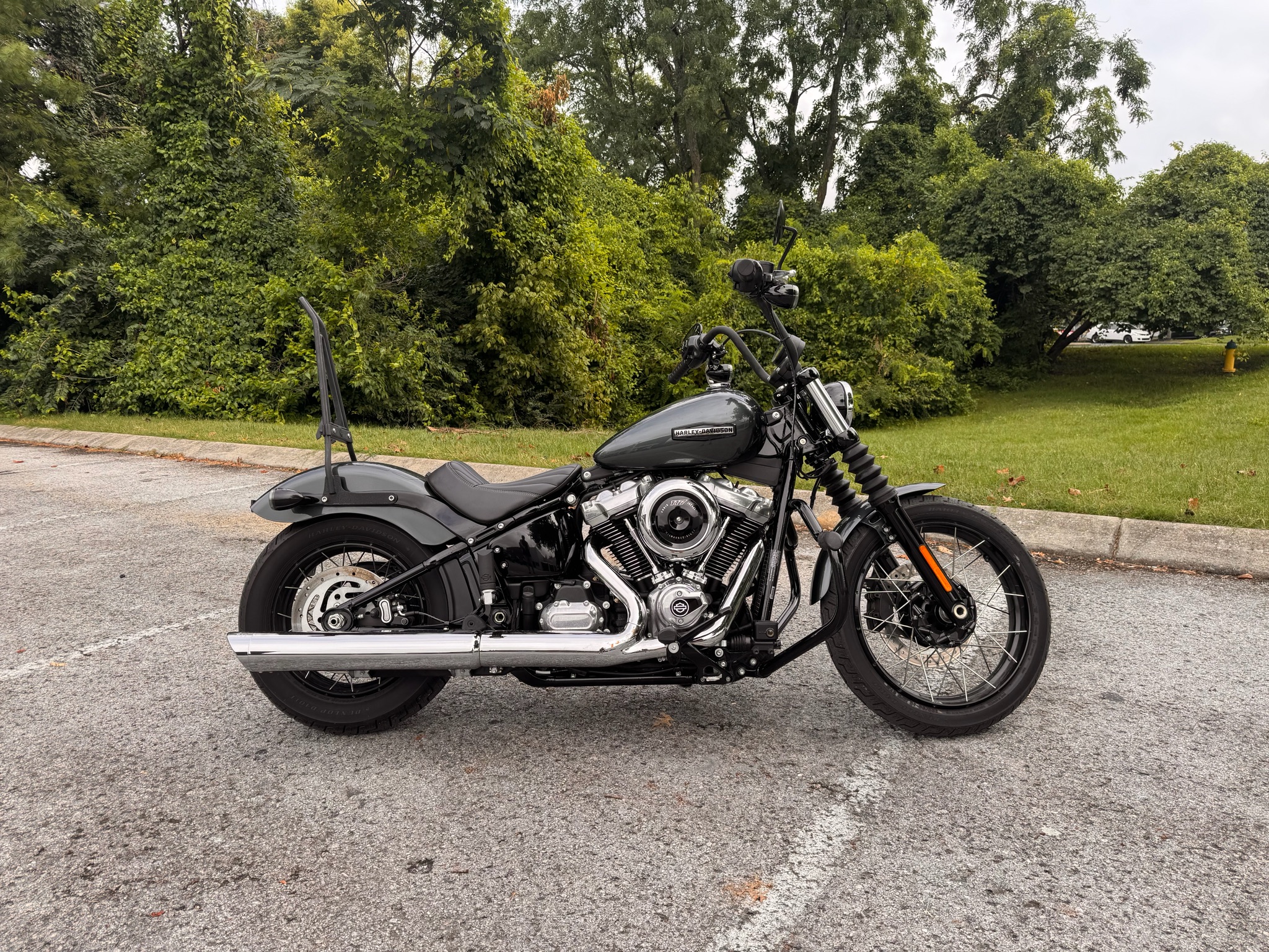 2025 Harley-Davidson Street Bob®