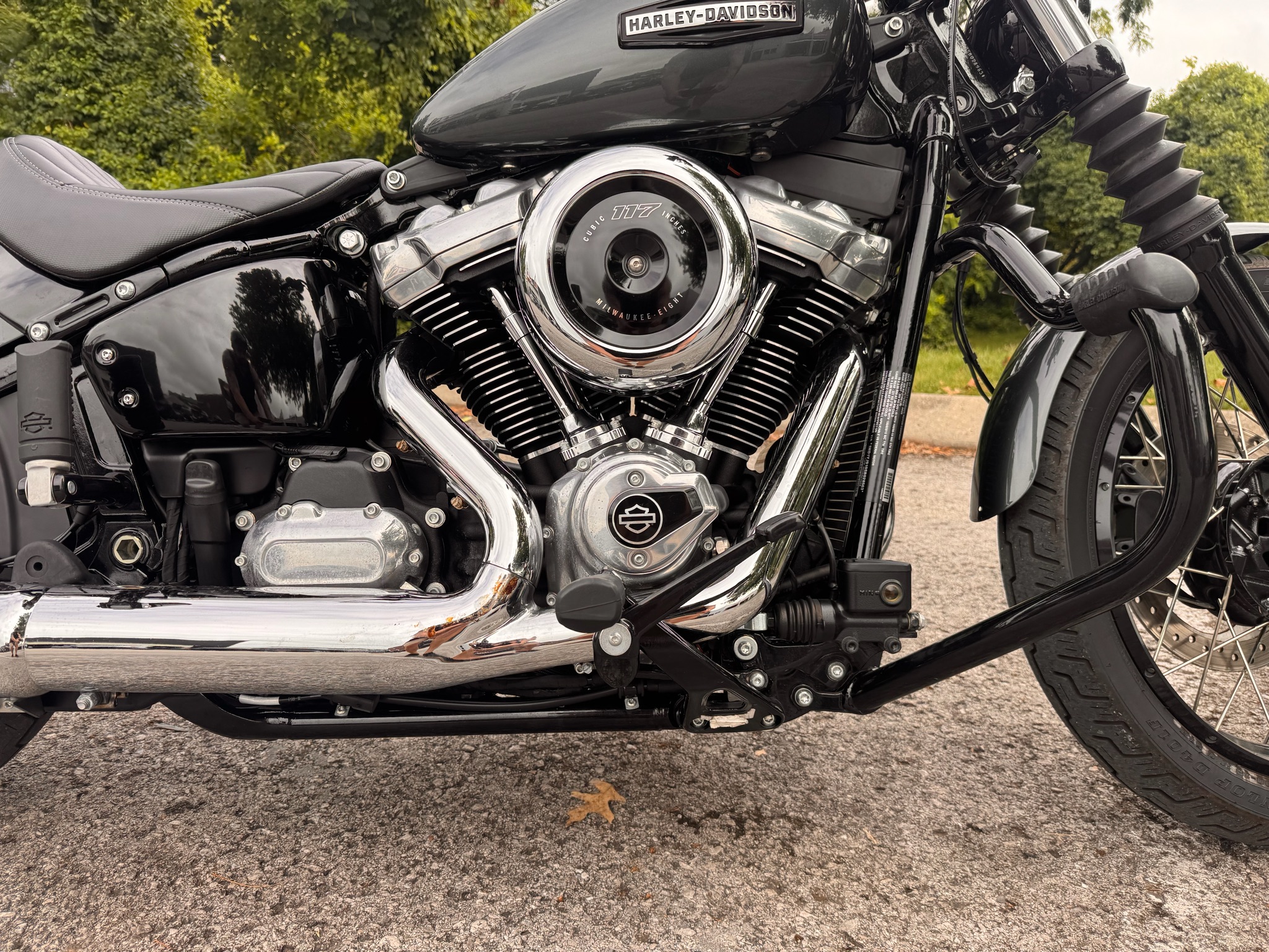 2025 Harley-Davidson Street Bob® 2