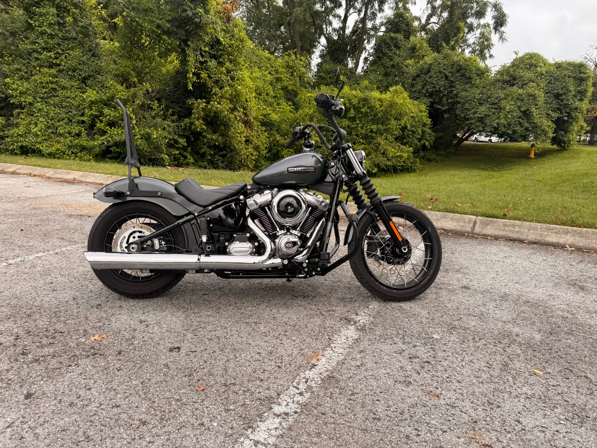 2025 Harley-Davidson Street Bob® 5