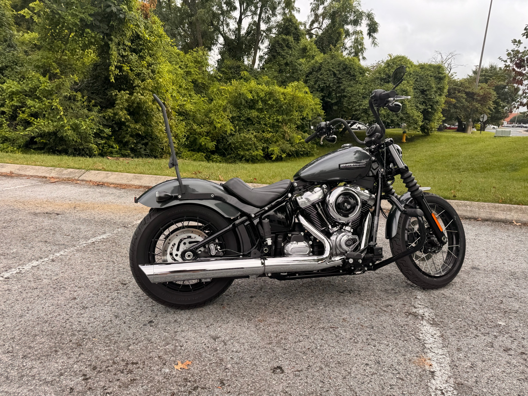 2025 Harley-Davidson Street Bob® 7